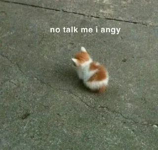 😡