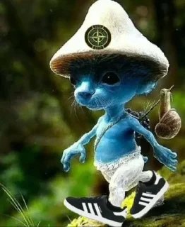 🌟