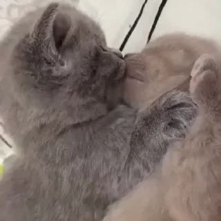 💋