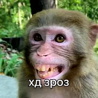 😆