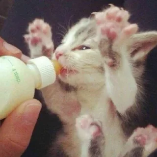 🥺