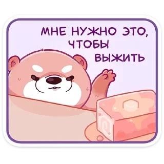 🍰