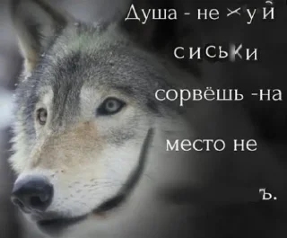 🐺