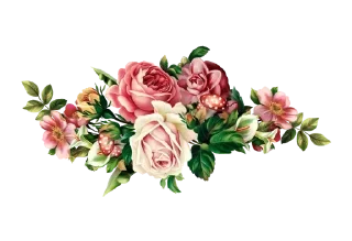 🌹