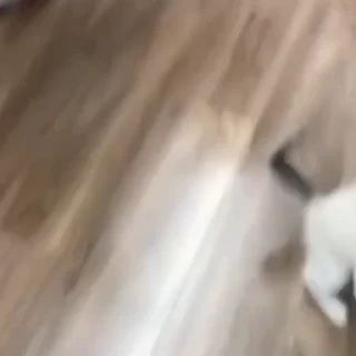🫠