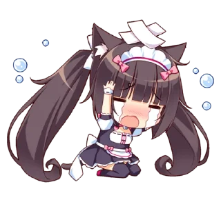 😿