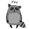 Raccoon_Nikita