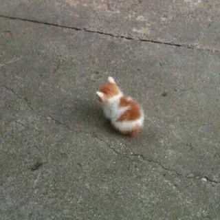 🥺
