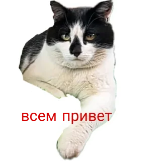 👐