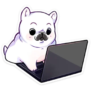 👨‍💻