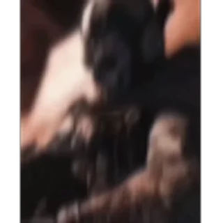 🤩