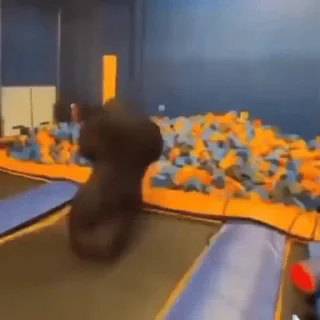 😆