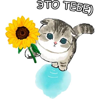 🤗
