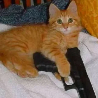🔫