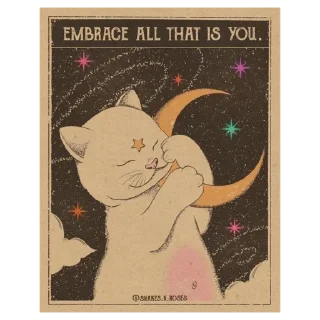 ✨