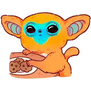 🍪