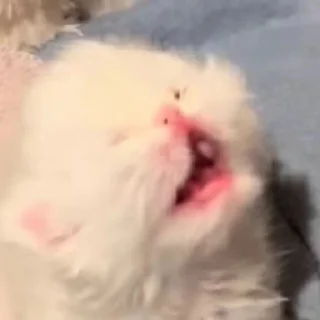 😨