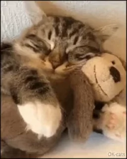 🤗