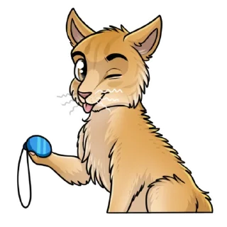 😼