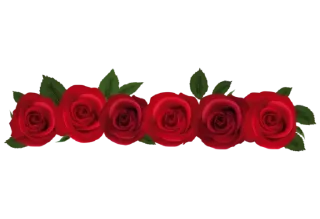 🌹