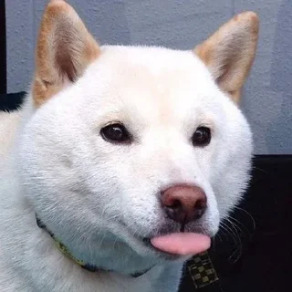 😋