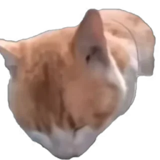 😐