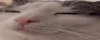 ☺️
