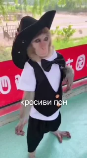🤩