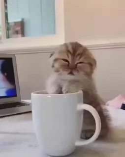 😴