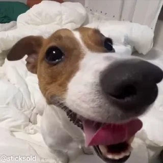 ❤️