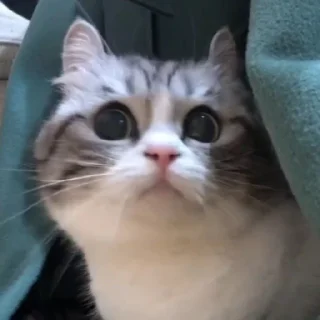 🥰