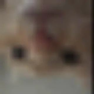⬇️