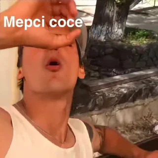 🍆