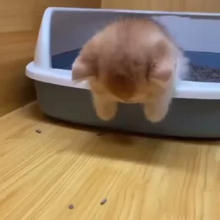 💕