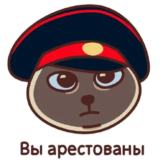👮‍♂️