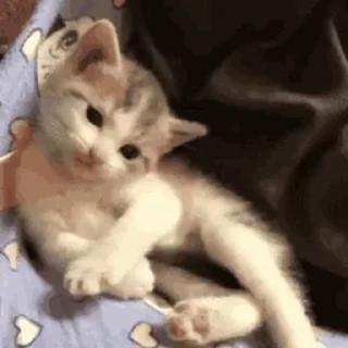 🛌