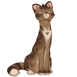 🐱