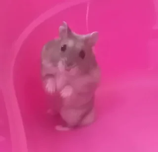 ❔
