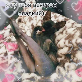 😘