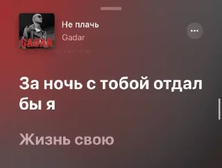 🎶