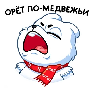 🐻