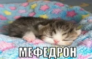😇
