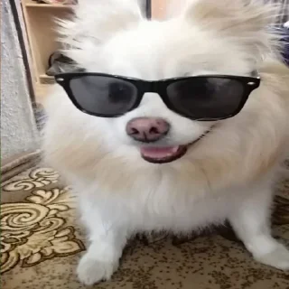 😎