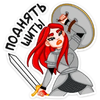🛡