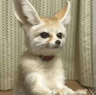 😐