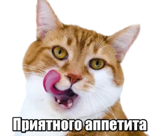 😋