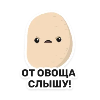 Бульб