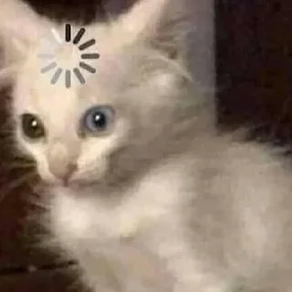 😵‍💫