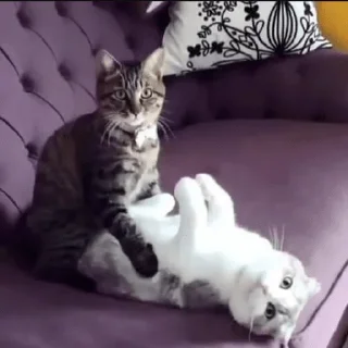 😳