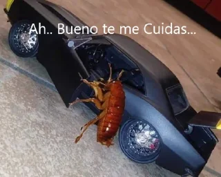 👋